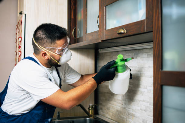 Best Bed Bug Extermination  in Pine Hills, CA