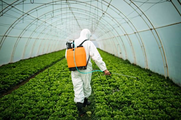 Best Pest Inspection Near Me  in Pine Hills, CA