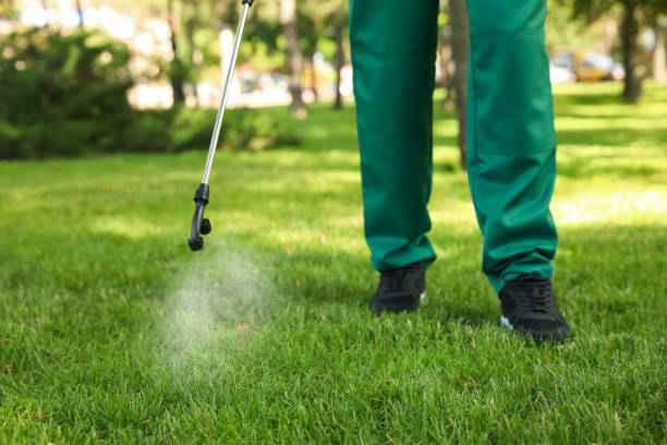 Best Termite Control Services  in Pine Hills, CA
