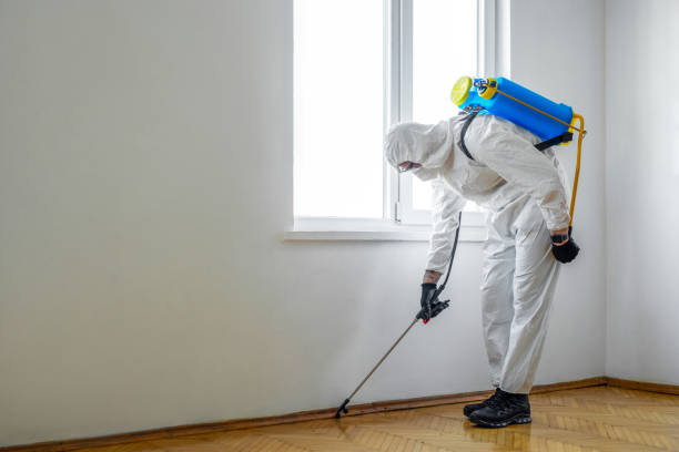 Best Emergency Pest Control  in Pine Hills, CA