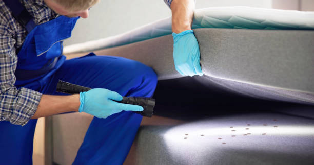Best Pest Control Near Me  in Pine Hills, CA