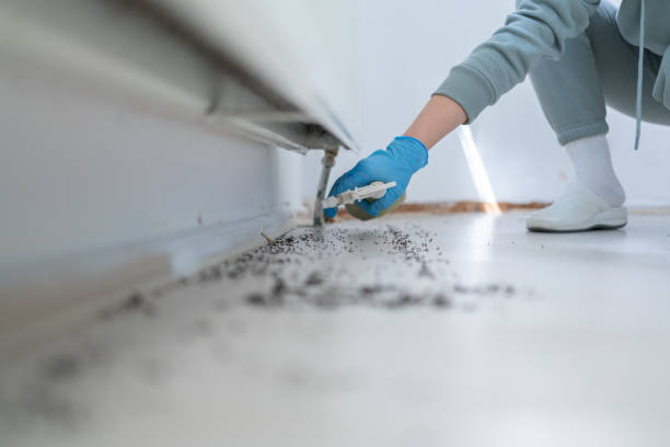 Best Affordable Pest Control Services  in Pine Hills, CA