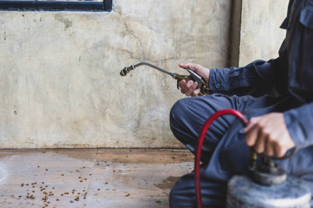 Best Pest Control Treatment  in Pine Hills, CA